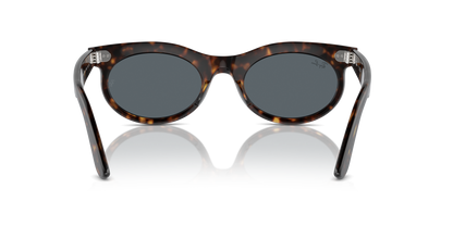 RAY-BAN RB2242 WAYFARER OVAL 902/R5 50