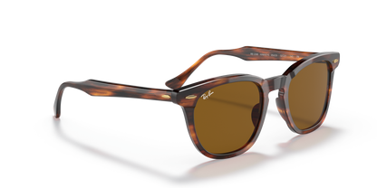 RAY-BAN RB2298 HAWKEYE 954/33 52