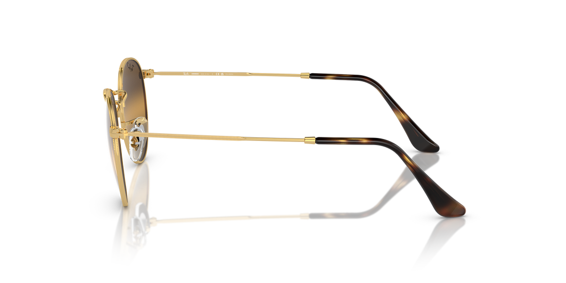 RAY-BAN RB3447 ROUND METAL 001/G5 50