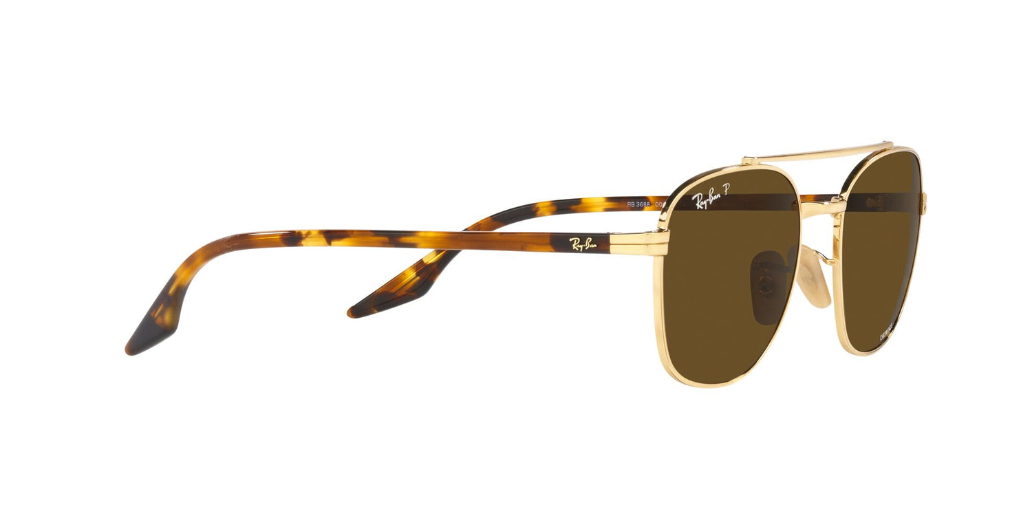 RAY-BAN RB3688 001/AN 55