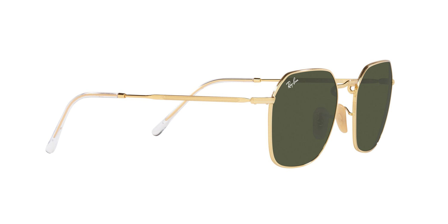 RAY-BAN RB3694 JIM 001/31 55