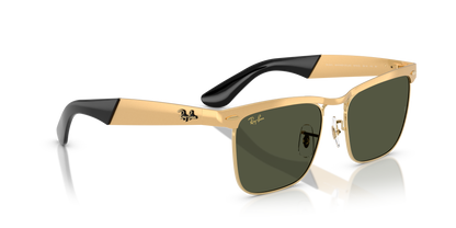 RAY-BAN RB3875 WAYFARER DELUXE 927633 53