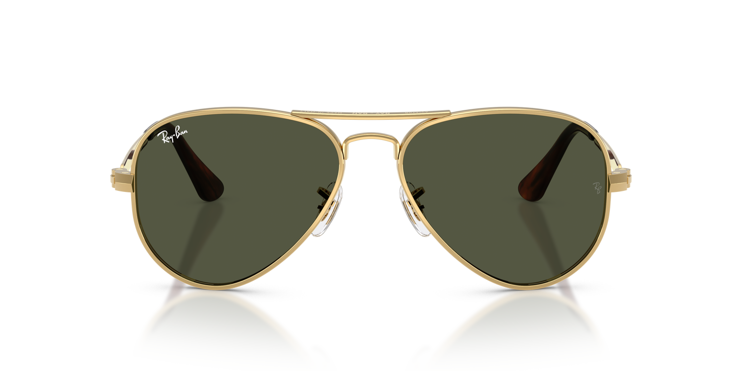 RAY-BAN RB3925 AVIATOR MAX 001/31 58