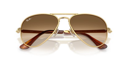 RAY-BAN RB3925 AVIATOR MAX 001/51 58