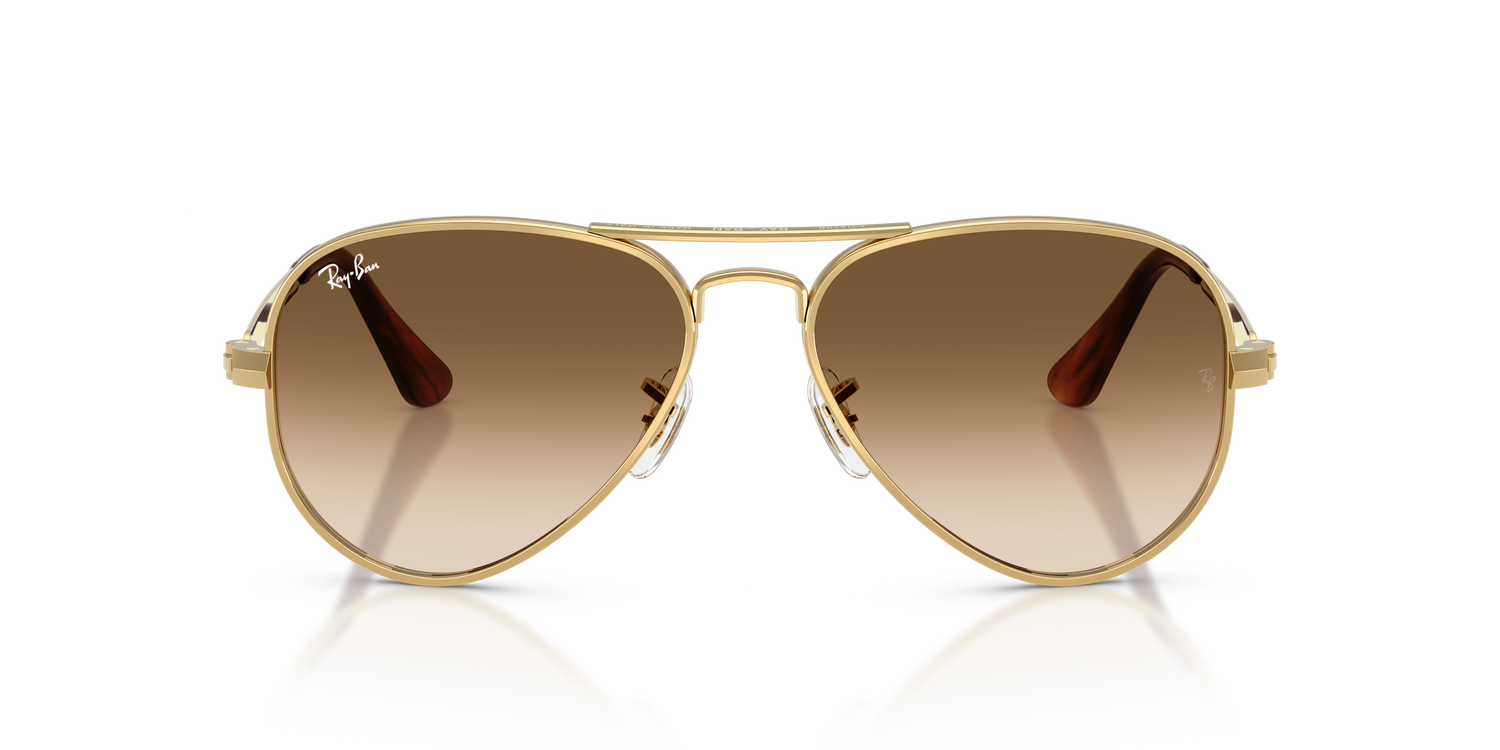 RAY-BAN RB3925 AVIATOR MAX 001/51 58