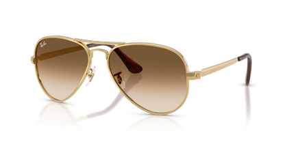 RAY-BAN RB3925 AVIATOR MAX 001/51 58