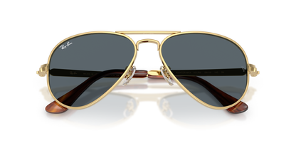 RAY-BAN RB3925 AVIATOR MAX 001/R5 58