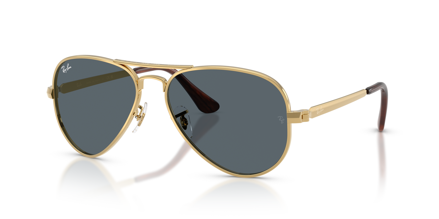 RAY-BAN RB3925 AVIATOR MAX 001/R5 58
