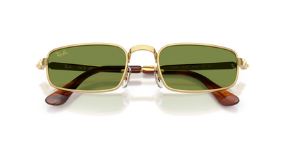 RAY-BAN RB3927 001/4E 54
