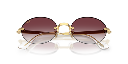 RAY-BAN RB3929 001/8H 54