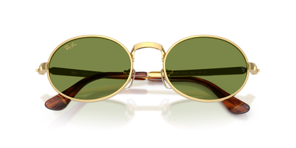 RAY-BAN RB3931 001/4E 54
