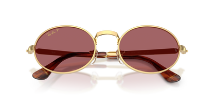 RAY-BAN RB3931 001/AF 54