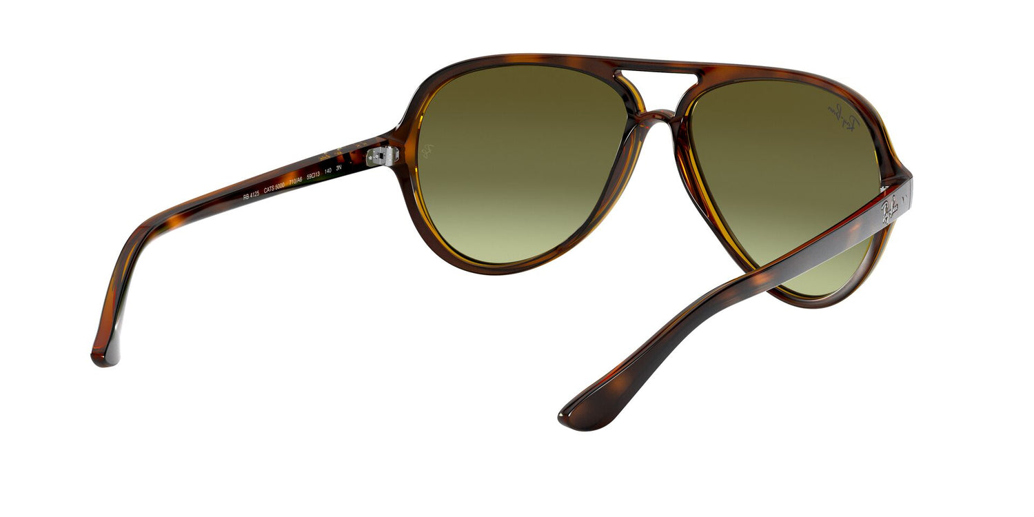 RAY-BAN RB4125 CATS 5000 710/A6 59