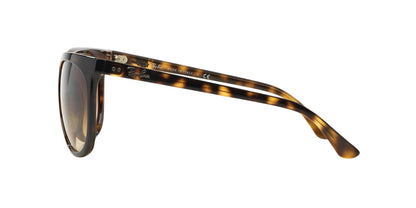 RAY-BAN RB4126 CATS 1000 710/51 57