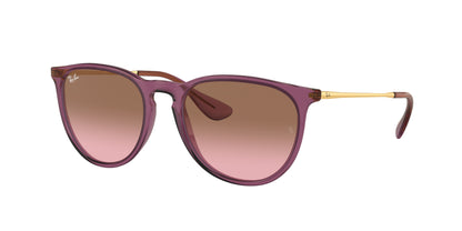 RAY-BAN RB4171 ERIKA 659114 54