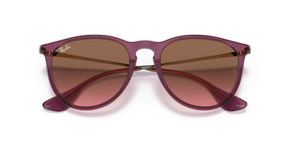 RAY-BAN RB4171 ERIKA 659114 54