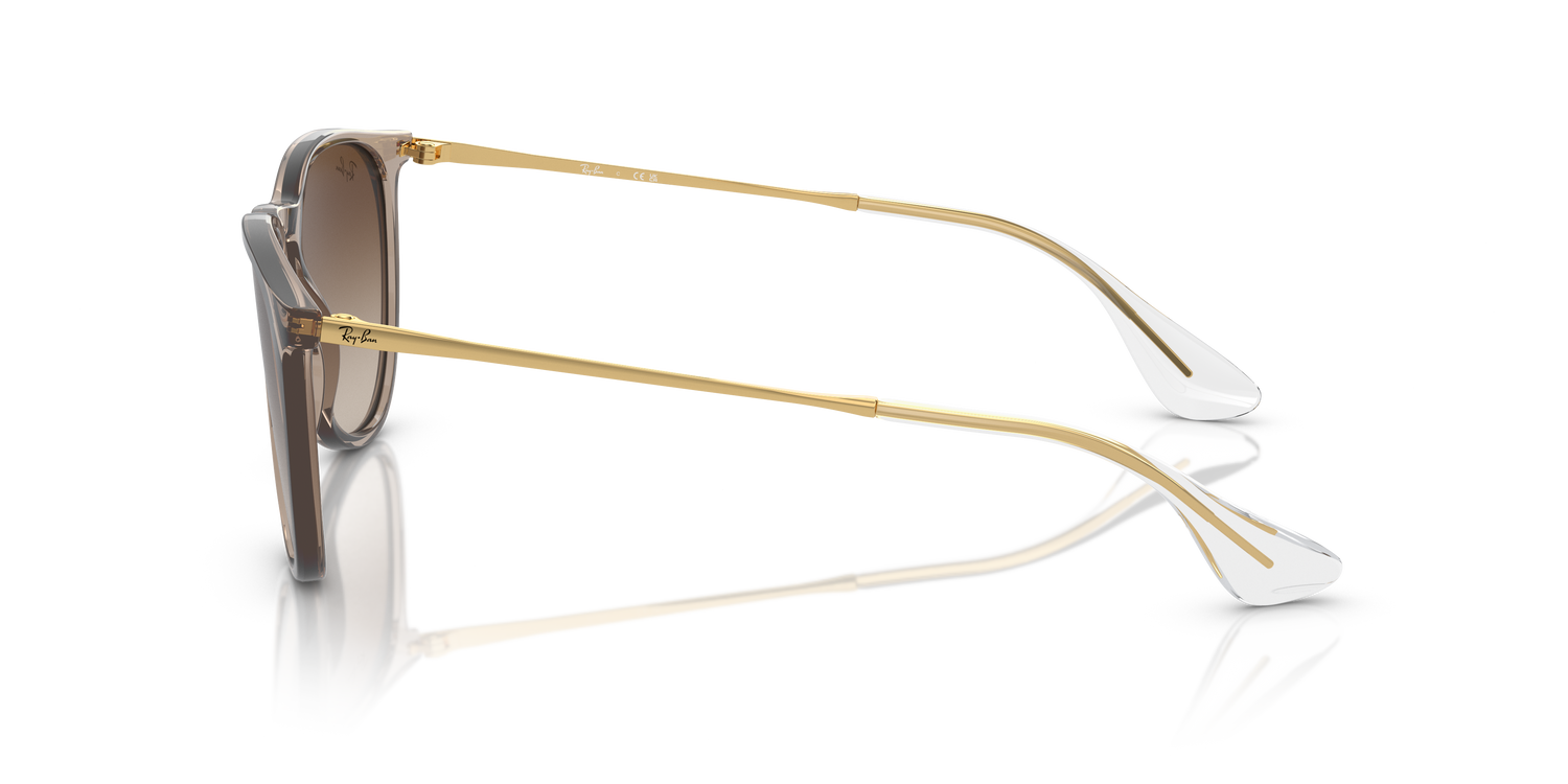 RAY-BAN RB4171 ERIKA 674413 54