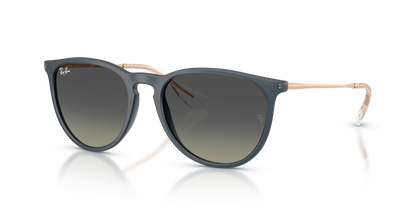 RAY-BAN RB4171 ERIKA 681311 54