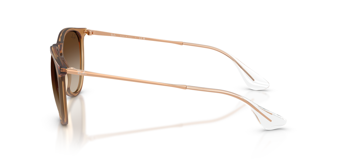 RAY-BAN RB4171 ERIKA 681413 54