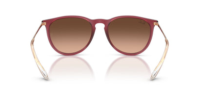 RAY-BAN RB4171 ERIKA 6815A5 54