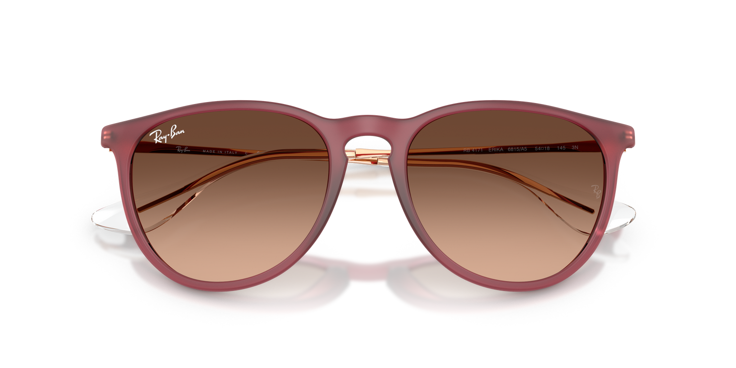 RAY-BAN RB4171 ERIKA 6815A5 54