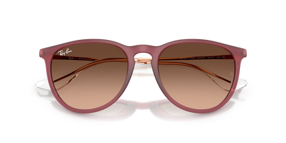 RAY-BAN RB4171 ERIKA 6815A5 54