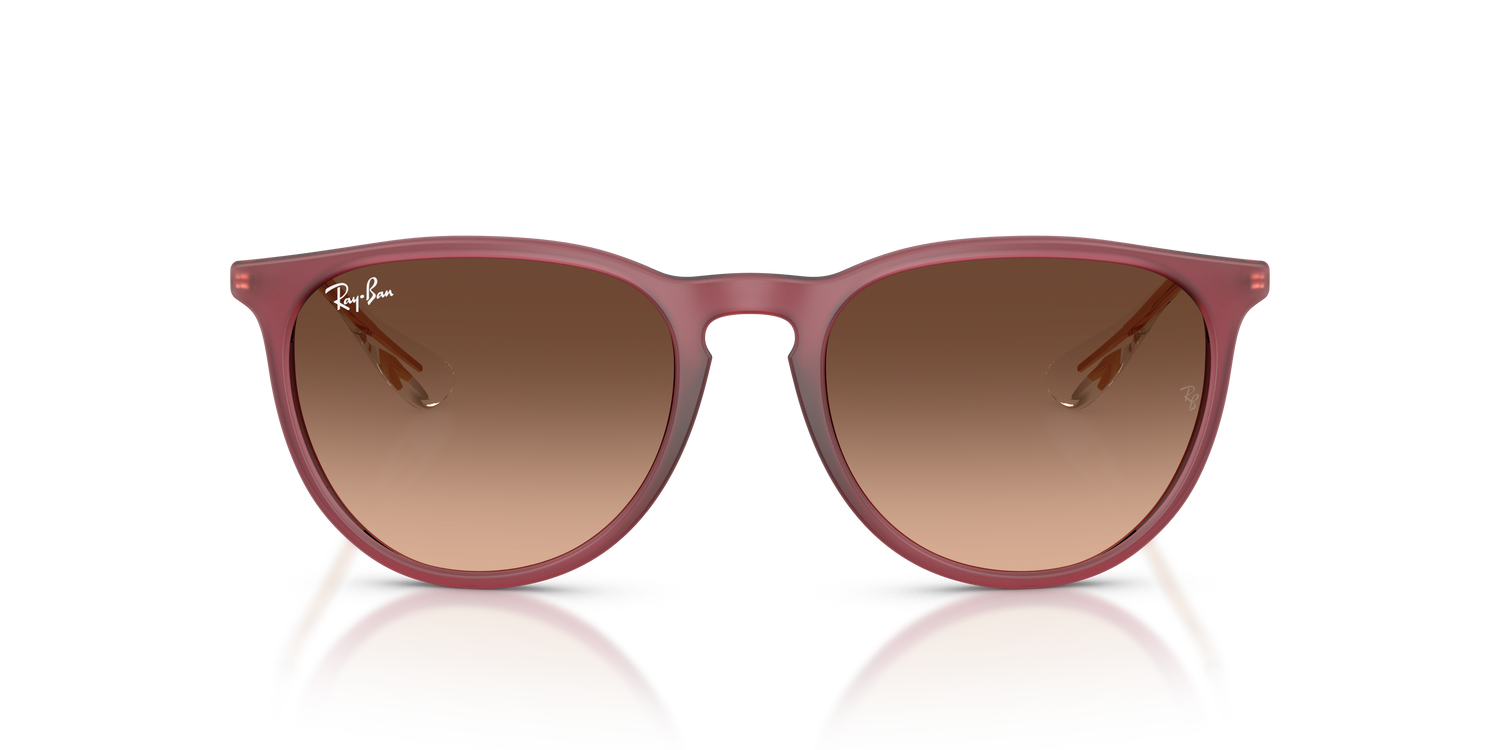 RAY-BAN RB4171 ERIKA 6815A5 54