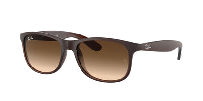 RAY-BAN RB4202 ANDY 607313 55