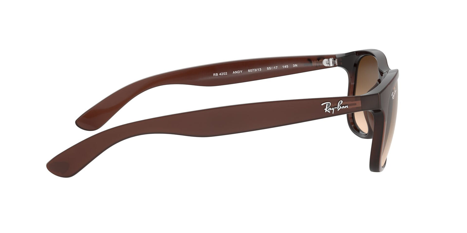 RAY-BAN RB4202 ANDY 607313 55