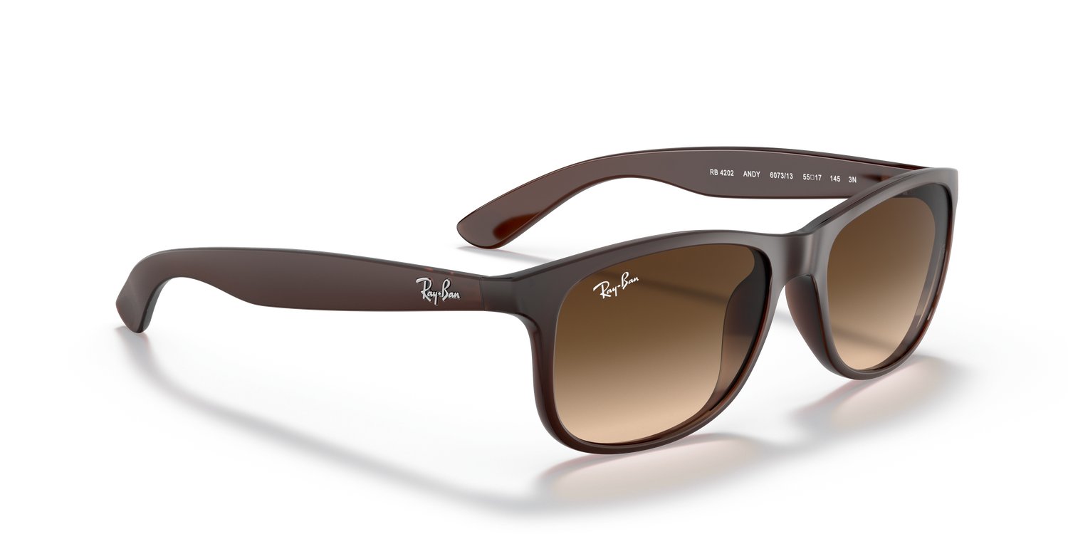 RAY-BAN RB4202 ANDY 607313 55