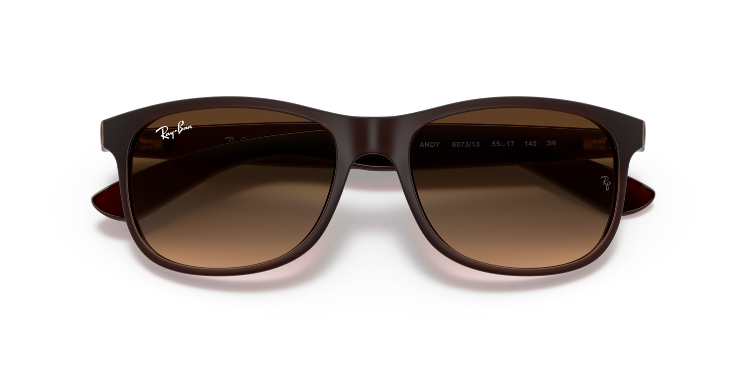 RAY-BAN RB4202 ANDY 607313 55