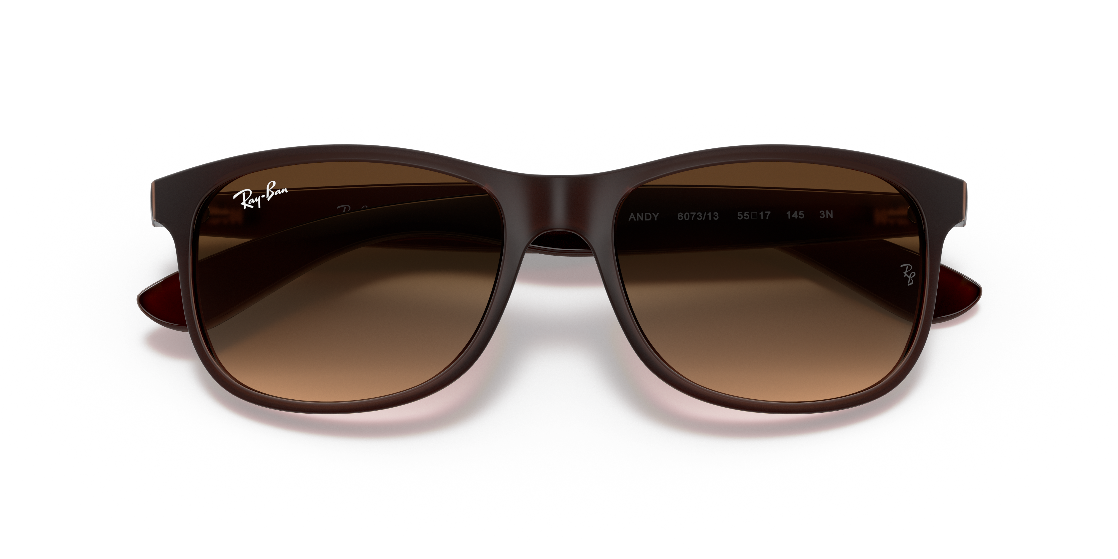 RAY-BAN RB4202 ANDY 607313 55