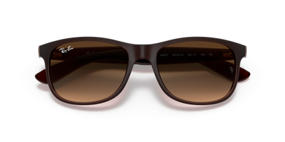 RAY-BAN RB4202 ANDY 607313 55