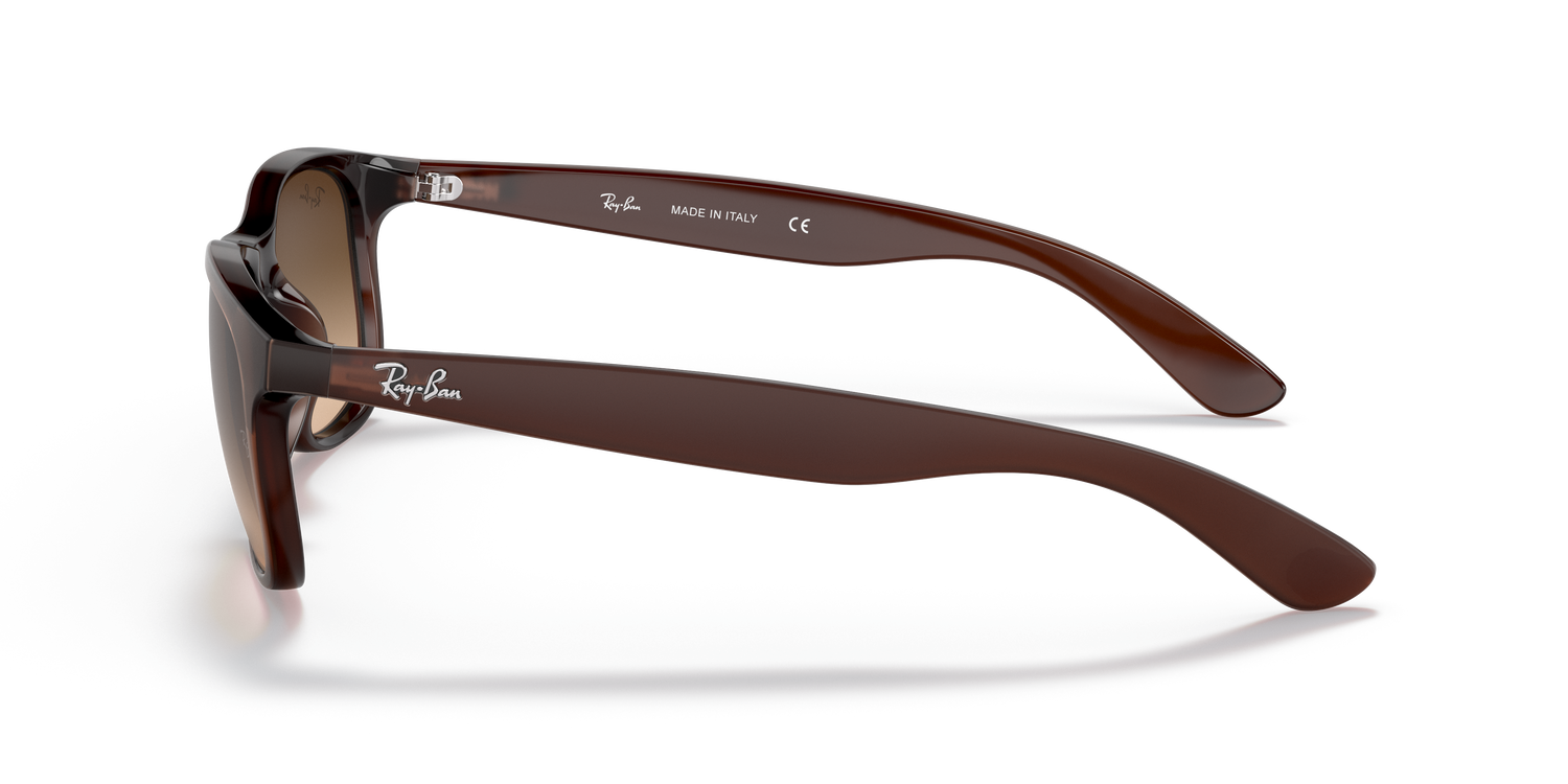 RAY-BAN RB4202 ANDY 607313 55