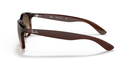 RAY-BAN RB4202 ANDY 607313 55
