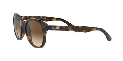 RAY-BAN RB4203 710/13 51