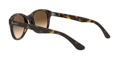 RAY-BAN RB4203 710/13 51