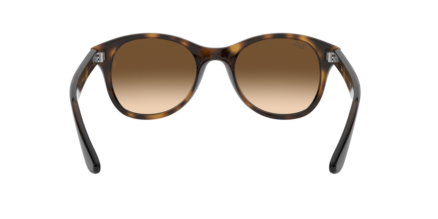 RAY-BAN RB4203 710/13 51