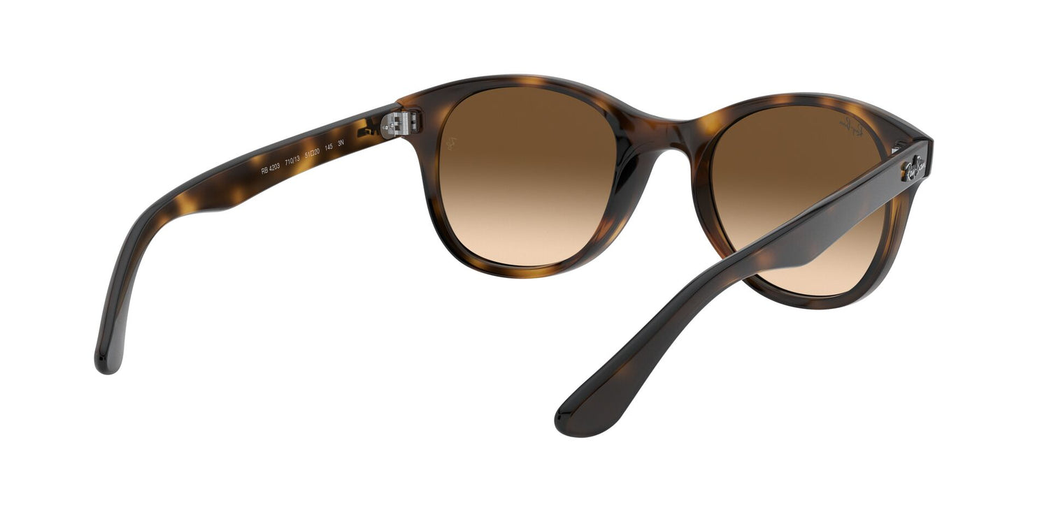 RAY-BAN RB4203 710/13 51