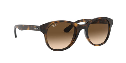 RAY-BAN RB4203 710/13 51