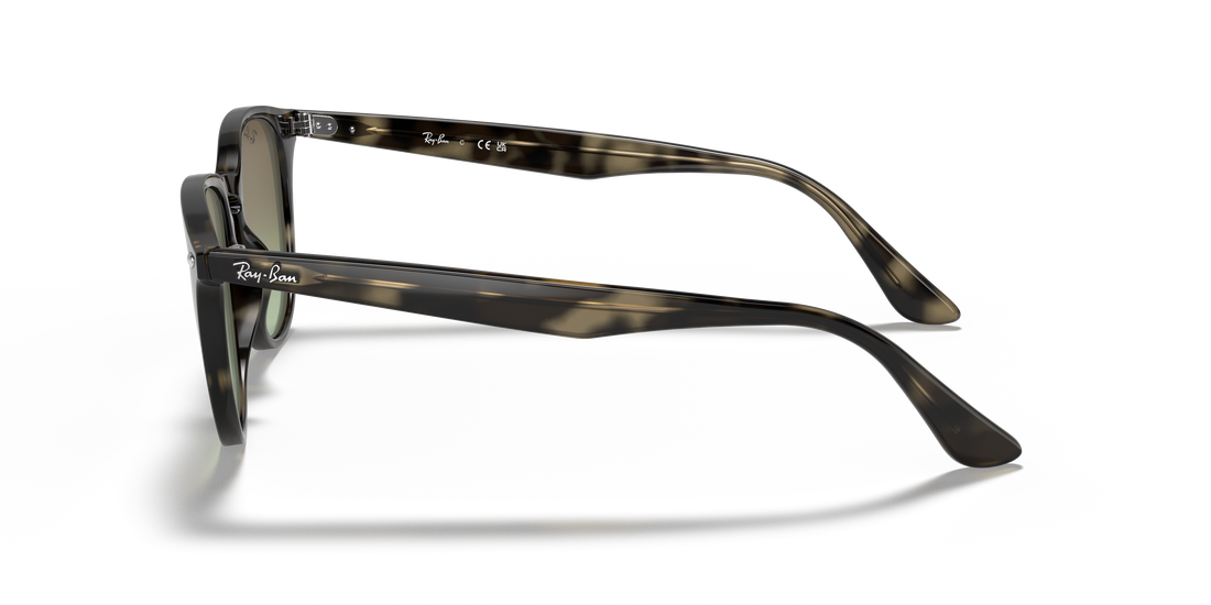 Óculos de sol ray-ban rb4259 731/e8 unisex tamanho 51mm - Vista de detalhe