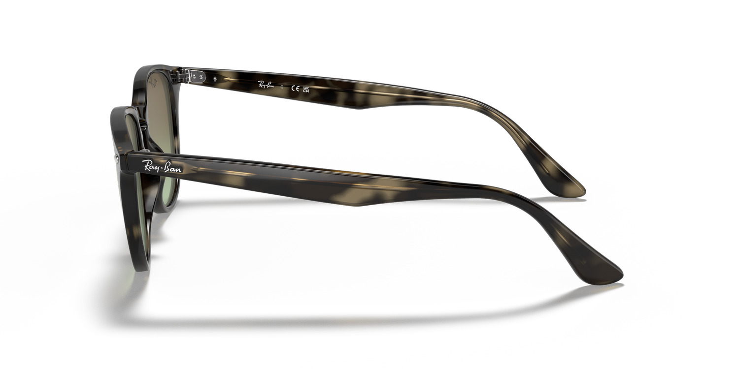 RAY-BAN RB4259 731/E8 51
