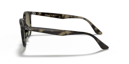 RAY-BAN RB4259 731/E8 51