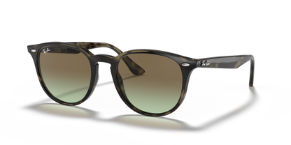 RAY-BAN RB4259 731/E8 51