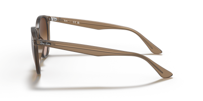 RAY-BAN RB4305 616613 53