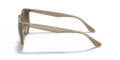 RAY-BAN RB4306 616613 54