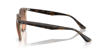 RAY-BAN RB4306 678846 54