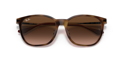 RAY-BAN RB4333D 710/13 55