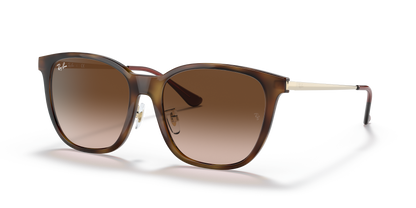 RAY-BAN RB4333D 710/13 55
