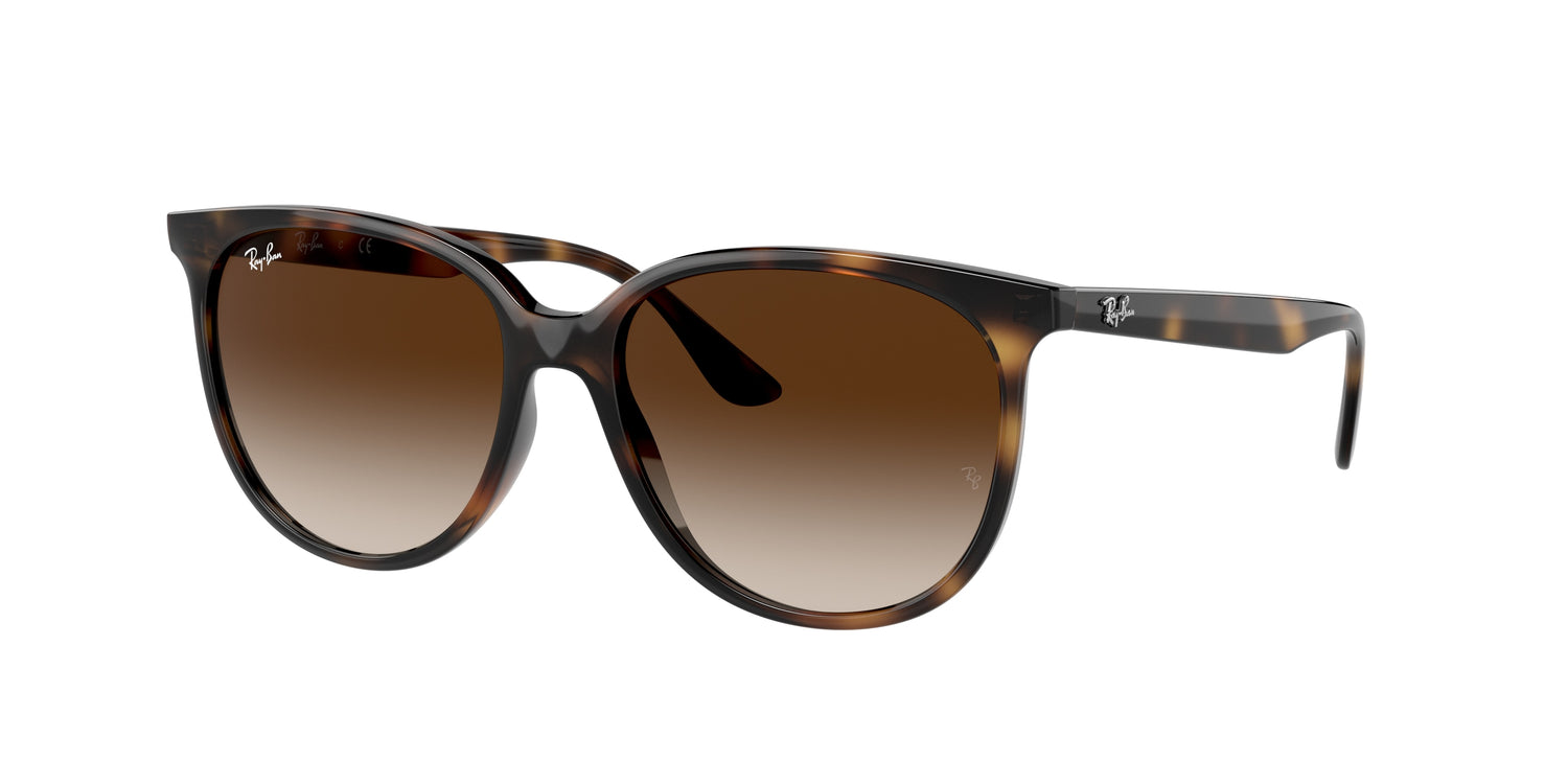 RAY-BAN RB4378 710/13 54